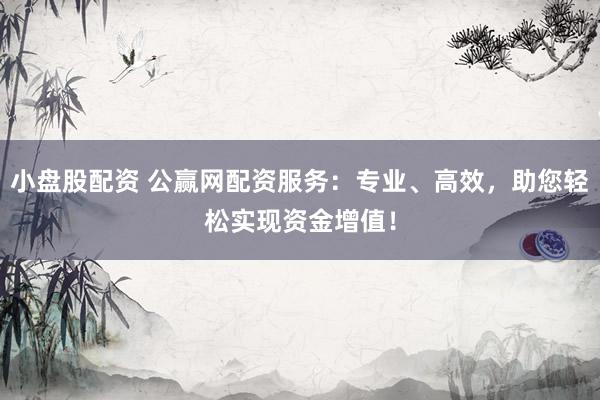小盘股配资 公赢网配资服务：专业、高效，助您轻松实现资金增值！