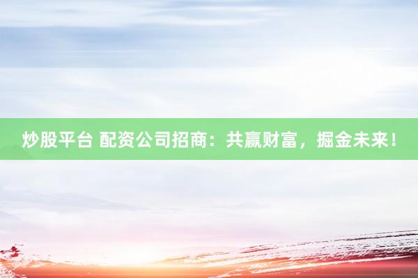 炒股平台 配资公司招商：共赢财富，掘金未来！