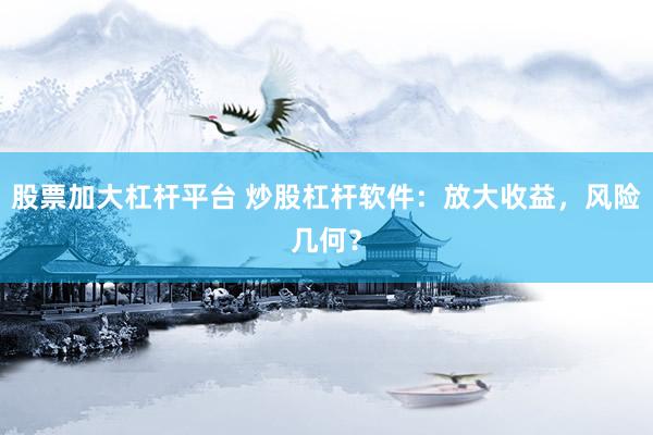 股票加大杠杆平台 炒股杠杆软件：放大收益，风险几何？