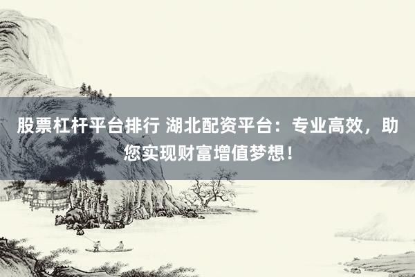股票杠杆平台排行 湖北配资平台:专业高效,助您实现财富增值梦想!