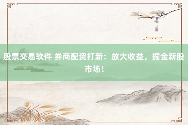 股票交易软件 券商配资打新：放大收益，掘金新股市场！