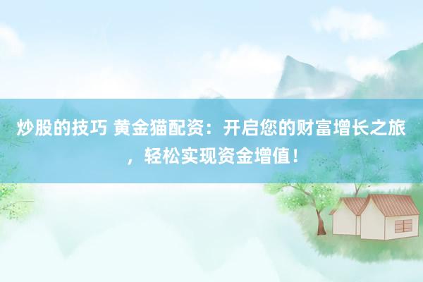 炒股的技巧 黄金猫配资：开启您的财富增长之旅，轻松实现资金增值！